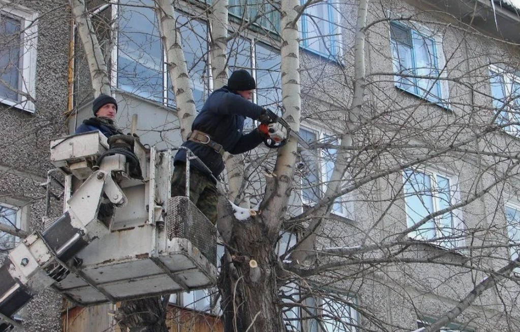 Спил деревьев Хабаровск